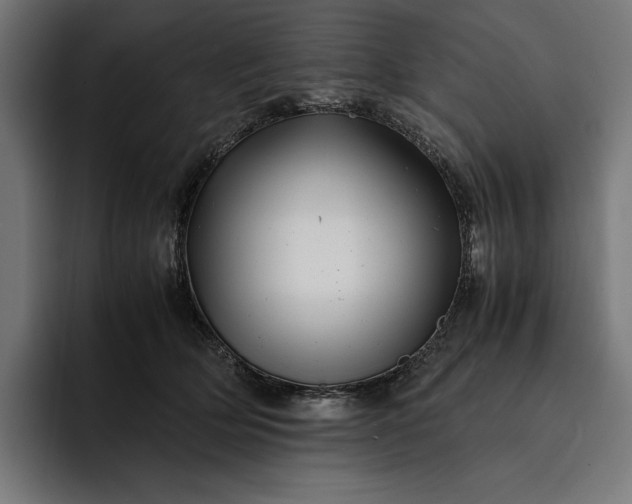 X0000093120514200710101042