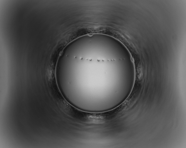 X0000093120515200710101042