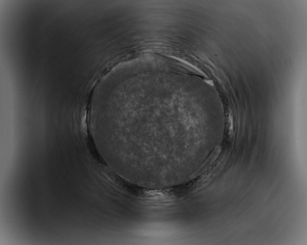 X0000093120516200710101042