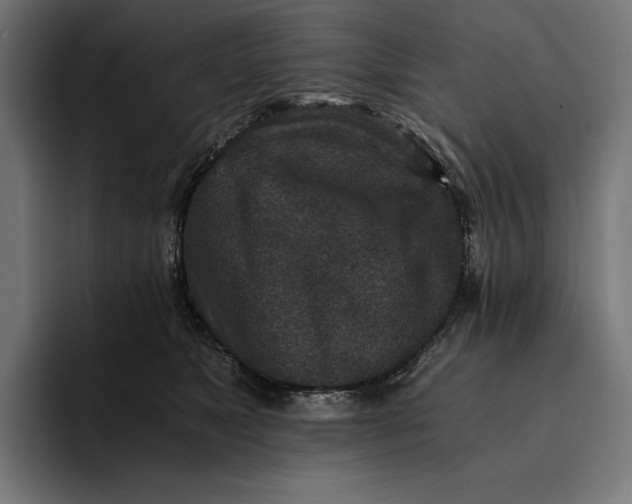 X0000093120517200710101042