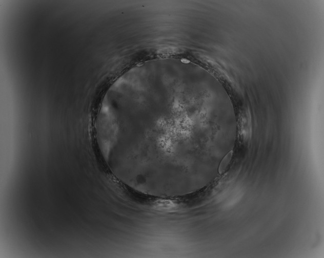 X0000093120519200710101042