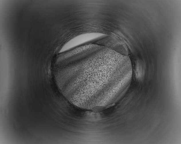 X0000093120520200710101042