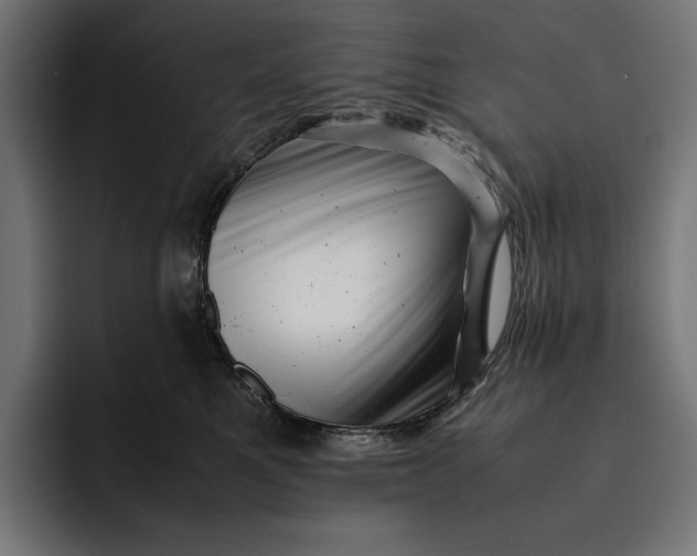 X0000093120521200710101042