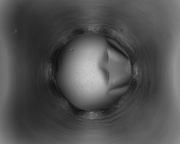 X0000093120522200710101042