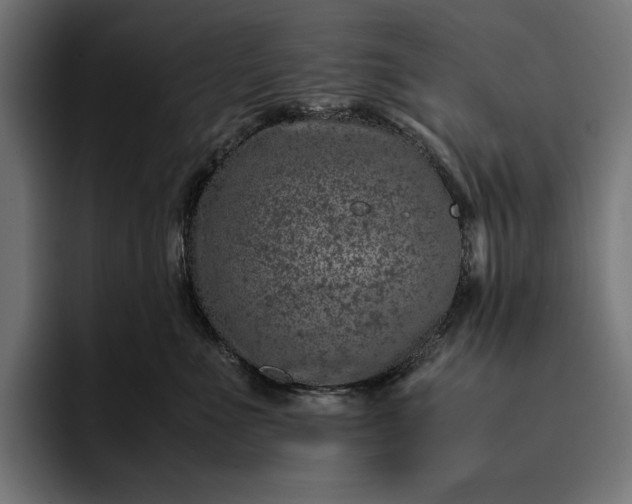 X0000093120523200710101042