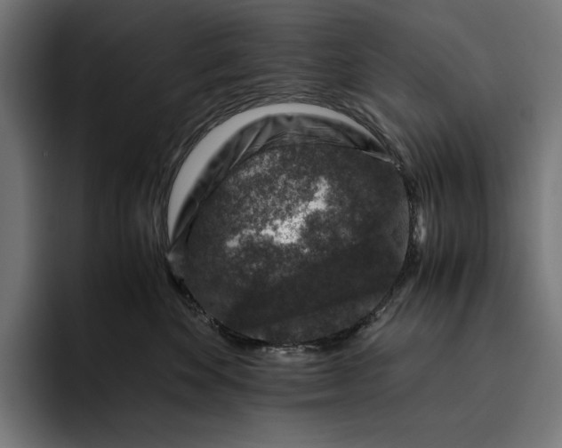 X0000093120524200710101042