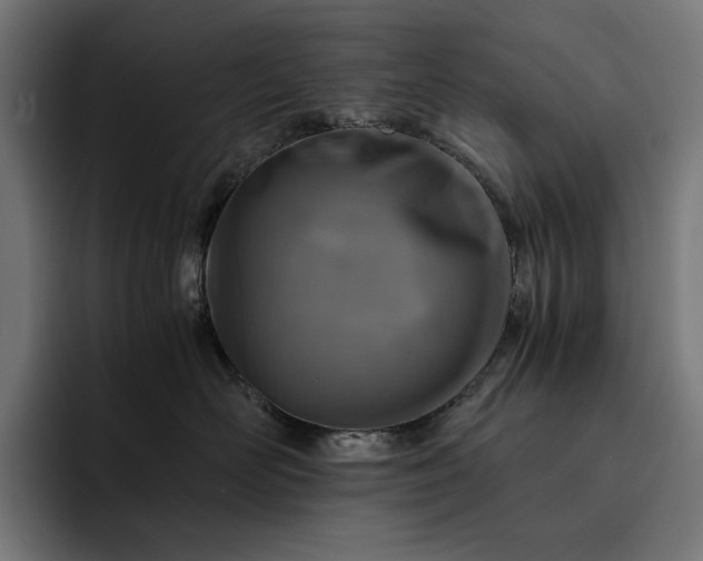 X0000093120526200710101042