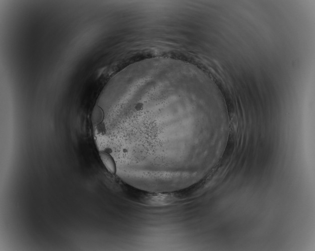 X0000093120527200710101042