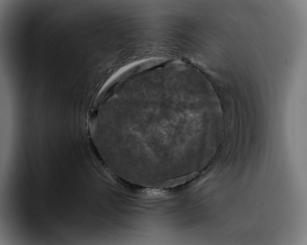 X0000093120528200710101042