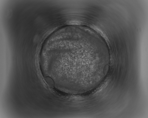 X0000093120529200710101042