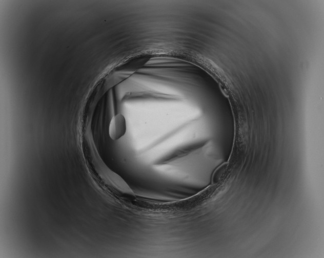 X0000093120530200710101042