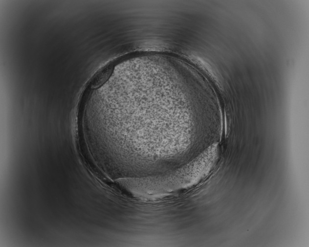 X0000093120531200710101042