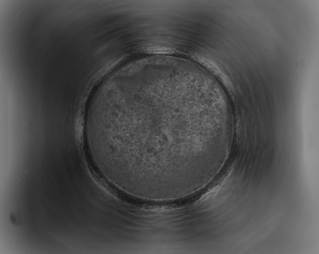 X0000093120533200710101042