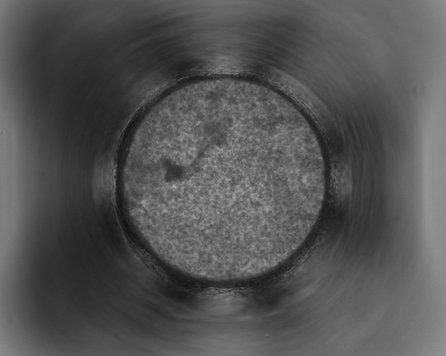 X0000093120534200710101042