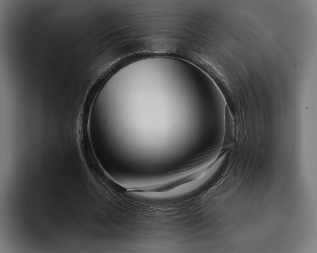 X0000093120536200710101042