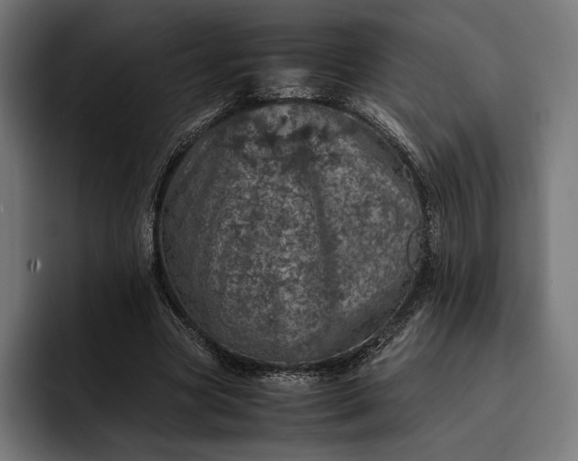 X0000093120537200710101042