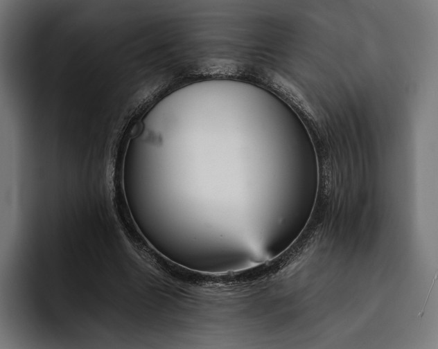 X0000093120538200710101042