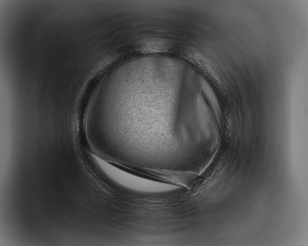 X0000093120539200710101042