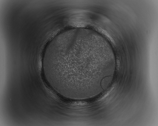 X0000093120541200710101042