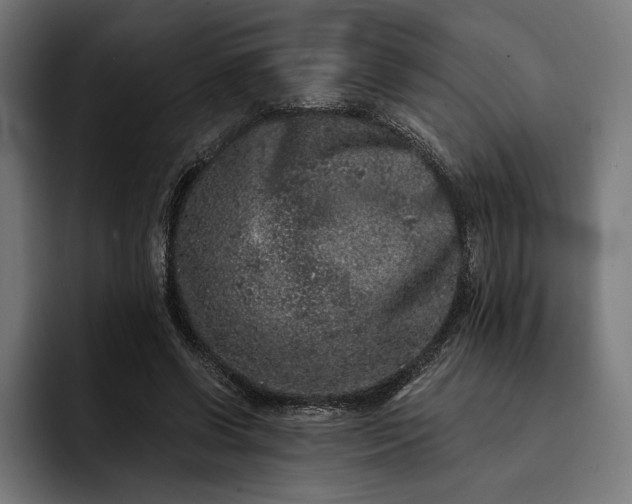 X0000093120542200710101042