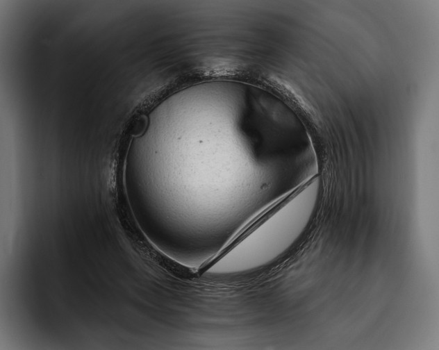 X0000093120543200710101042