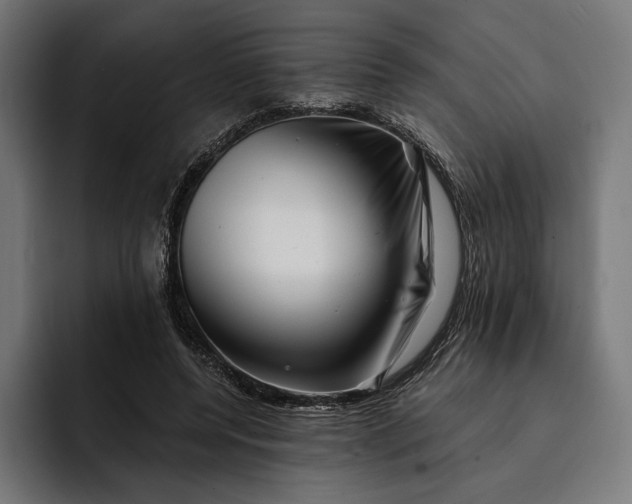 X0000093120544200710101042