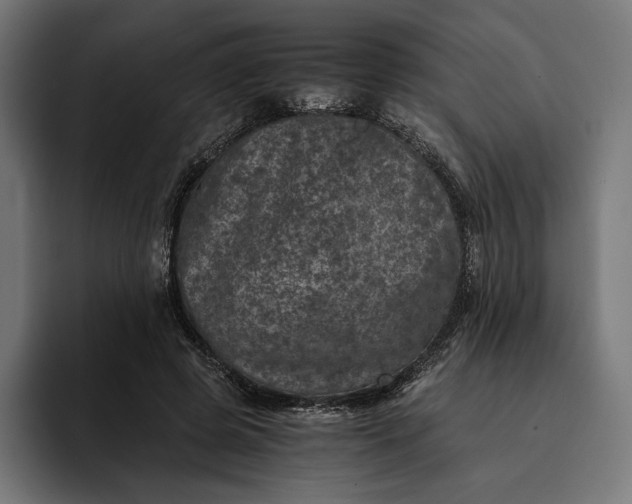 X0000093120545200710101042