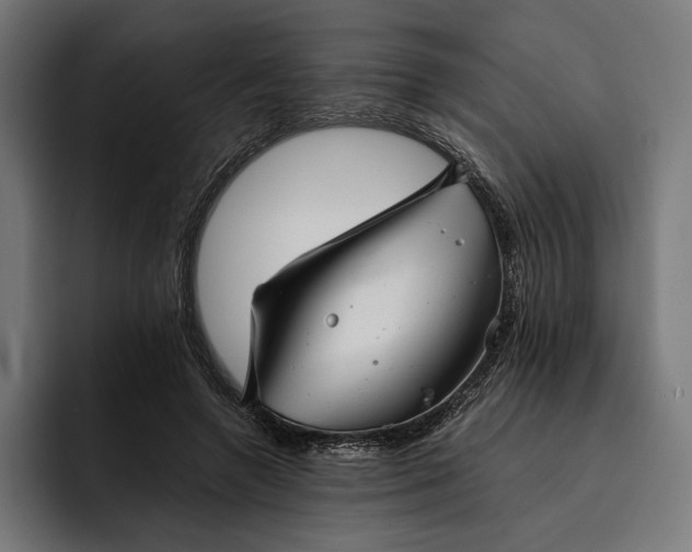 X0000093120546200710101042