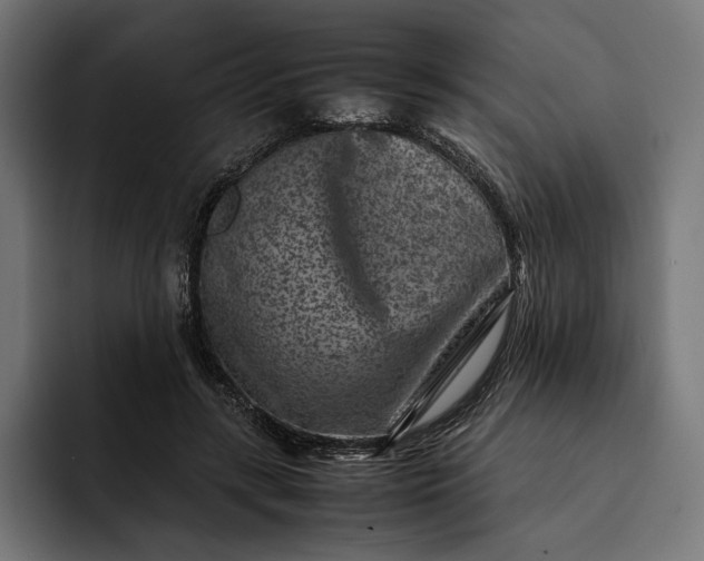 X0000093120547200710101042