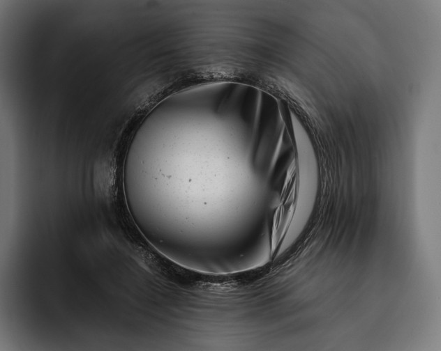 X0000093120548200710101042