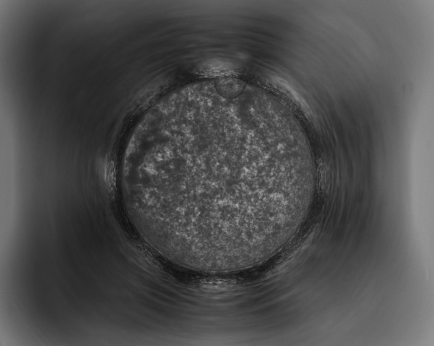 X0000093120549200710101042