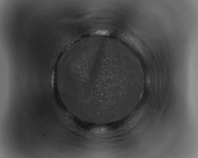 X0000093120551200710101042