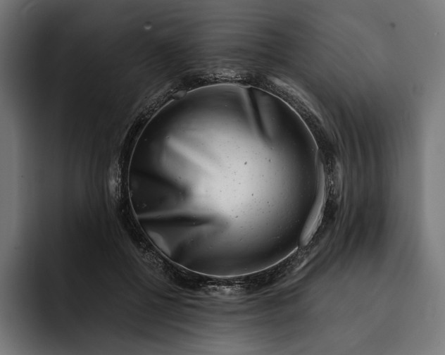 X0000093120552200710101042