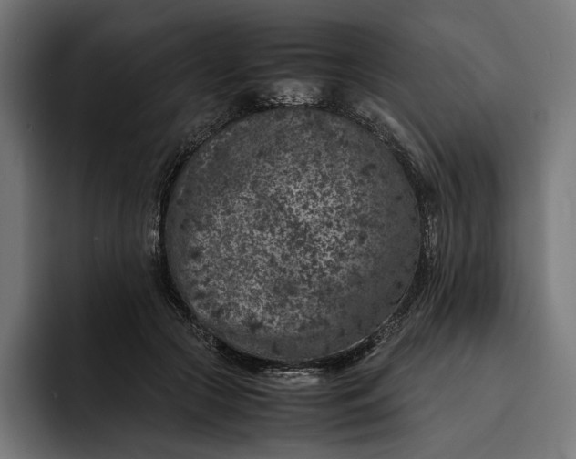 X0000093120553200710101042