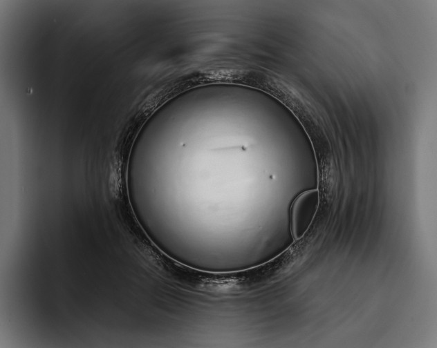 X0000093120554200710101042