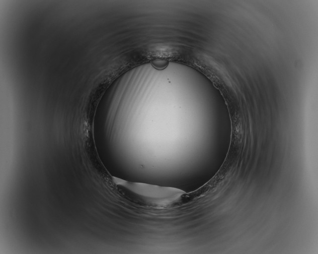 X0000093120555200710101042