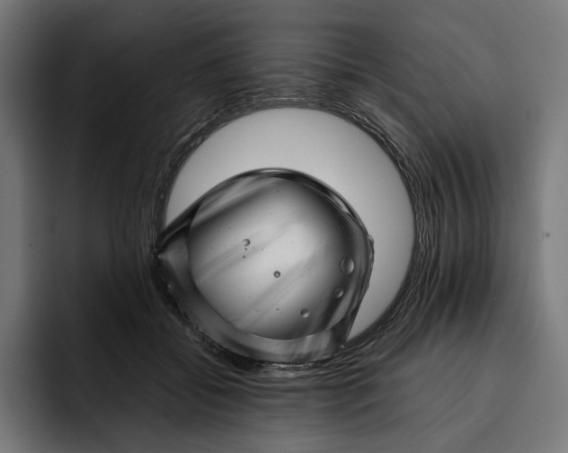 X0000093120556200710101042