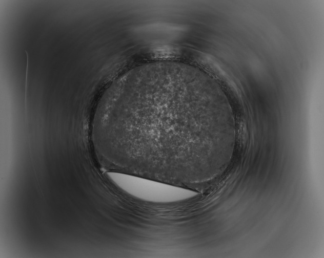 X0000093120557200710101042