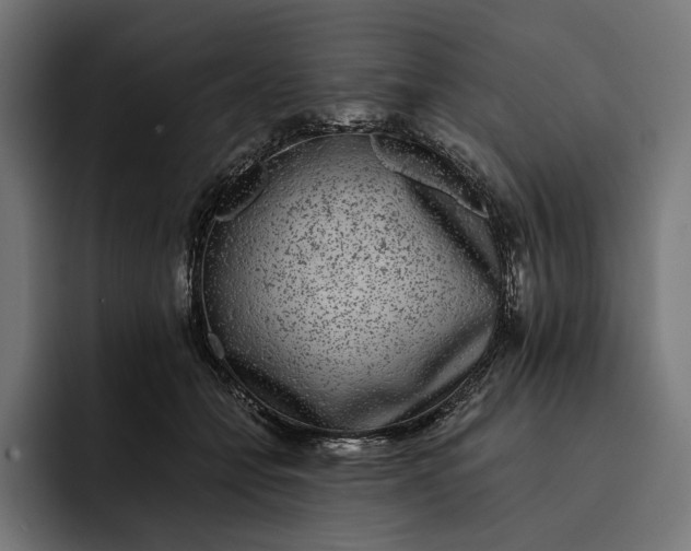 X0000093120558200710101042