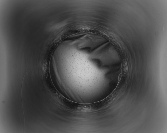 X0000093120559200710101042