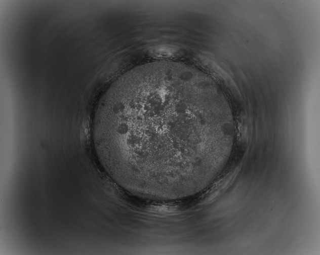 X0000093120561200710101042