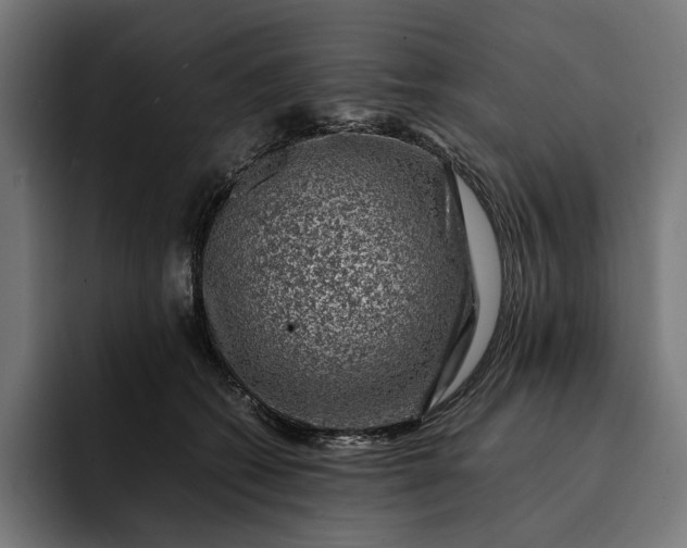 X0000093120562200710101042