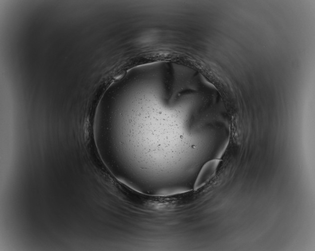 X0000093120563200710101042