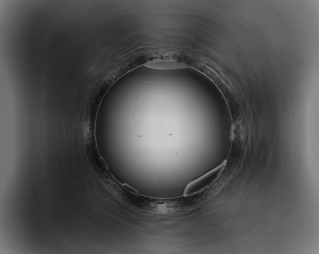 X0000093120564200710101042