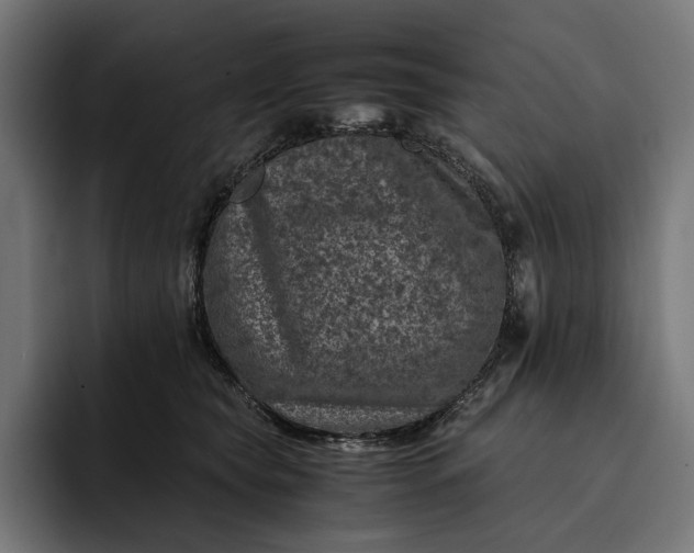 X0000093120565200710101042