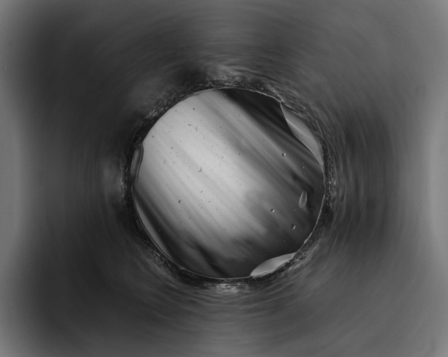 X0000093120566200710101042