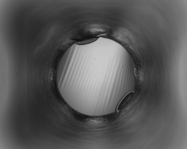 X0000093120567200710101042