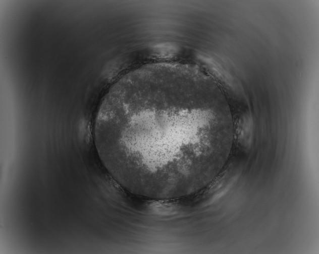 X0000093120568200710101042