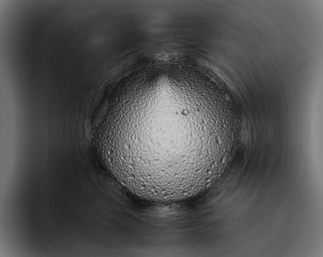 X0000093120569200710101042