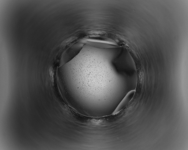 X0000093120570200710101042